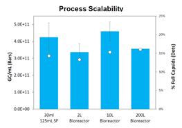 A graph of blue rectangular bars with white text Description automatically generated